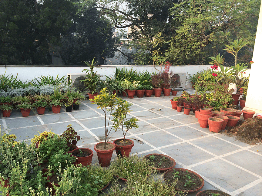 Cool Terrace Gardens