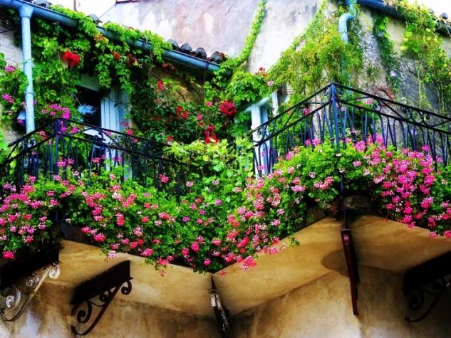 Gorgeous Balconies Decorated With Flowers And Plants