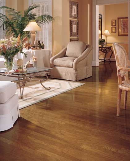 Living Room Designs With Hardwood Floor