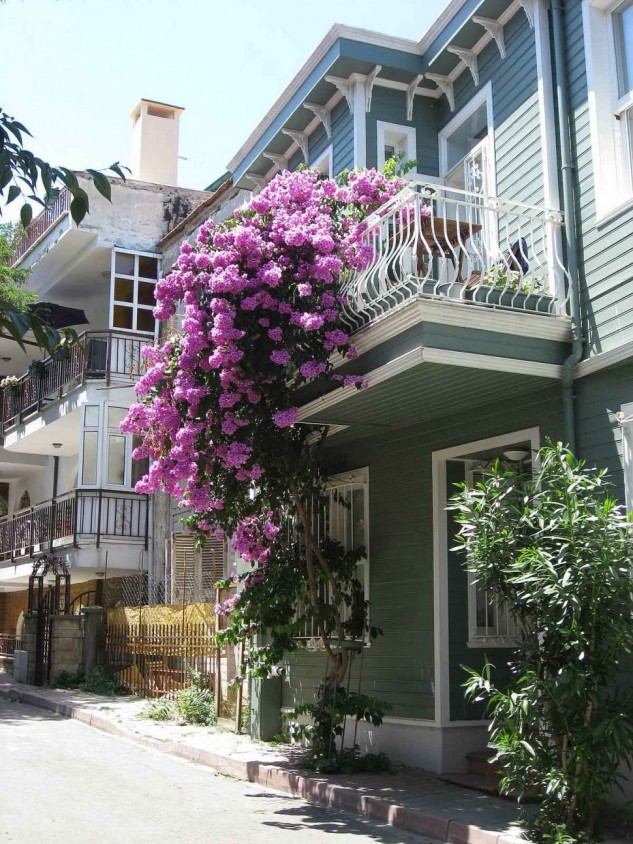 Lovely Balconies Decorated With Flowers And Plants