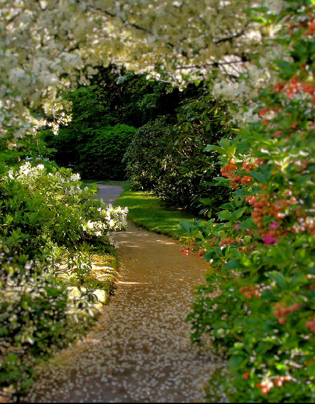 Awesome Garden Pathway Ideas