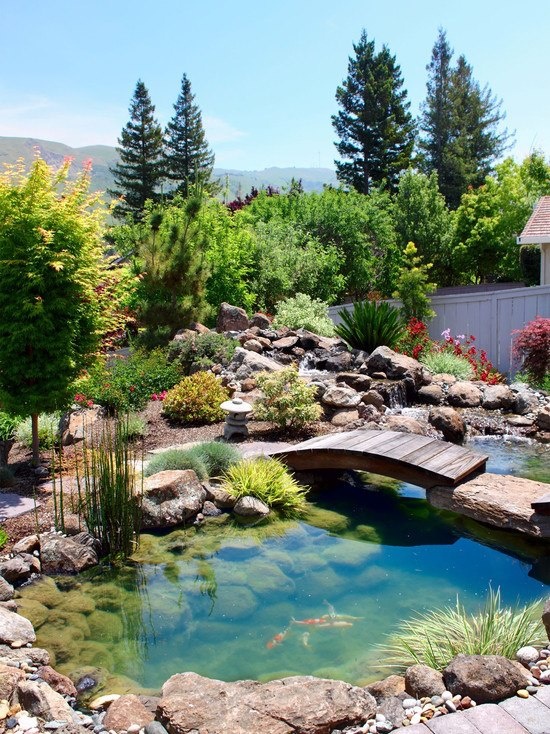 Charming Backyard Pond Design Ideas