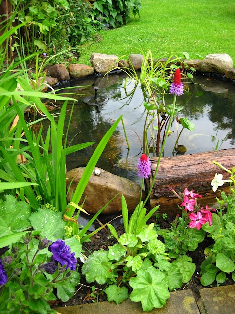 Coolest Backyard Pond Design Ideas