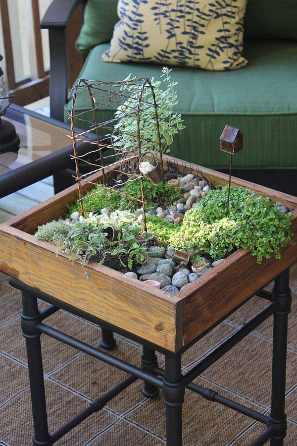 Coolest Indoor Mini Garden