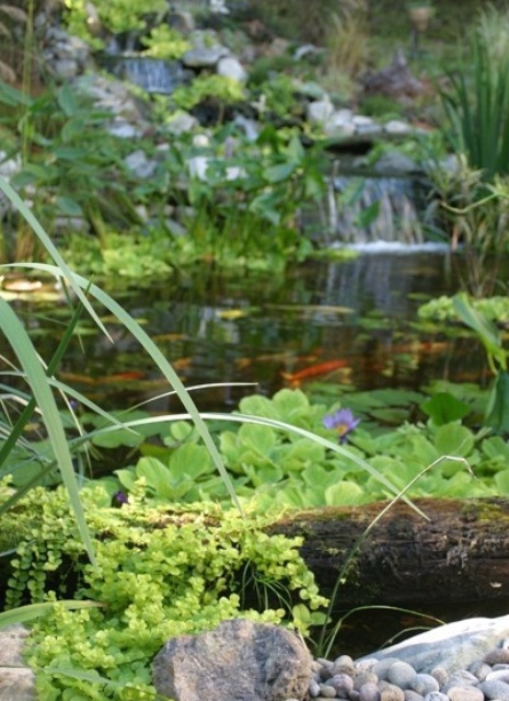 Fabulous Backyard Pond Design Ideas