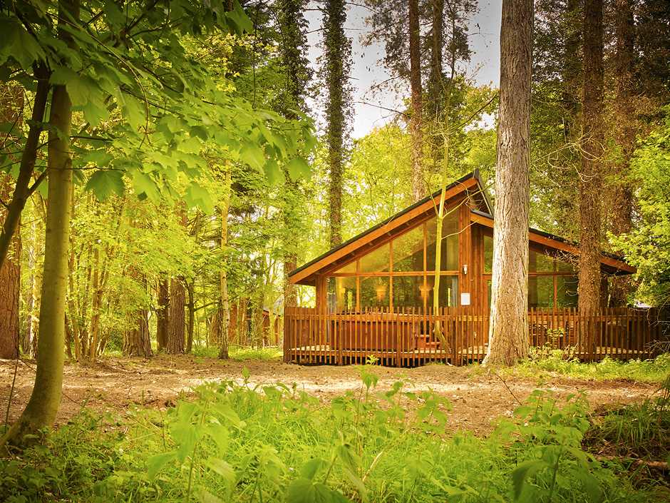 Forest Wood Cabins