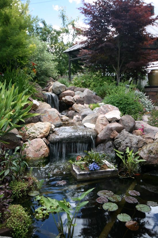 Modern Backyard Pond Design Ideas