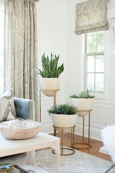 Modern Living Rooms With Plants