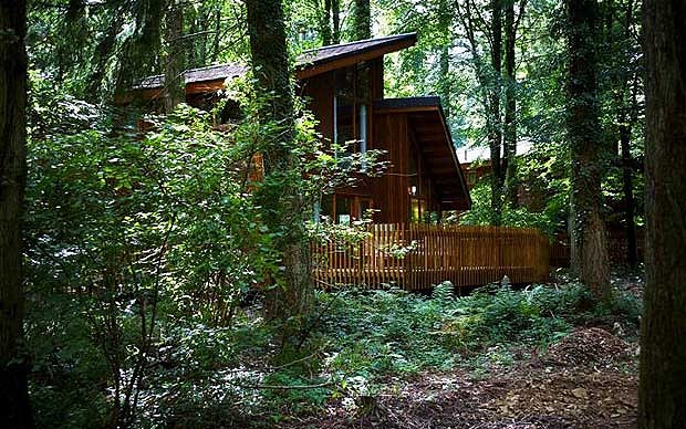 Nice Forest Wood Cabins