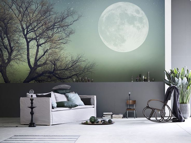 Nice Wall Murals For Your Home