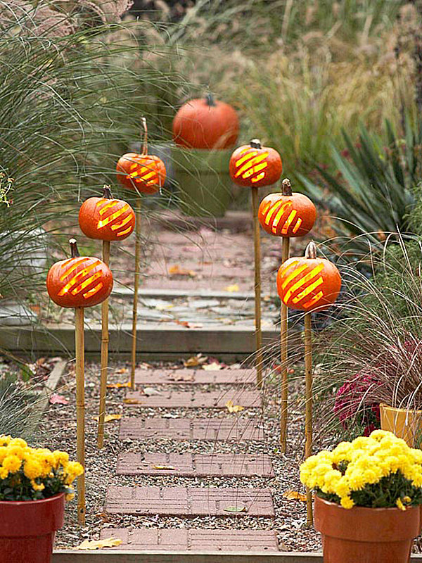 Pumpkins-line-a-garden-pathway