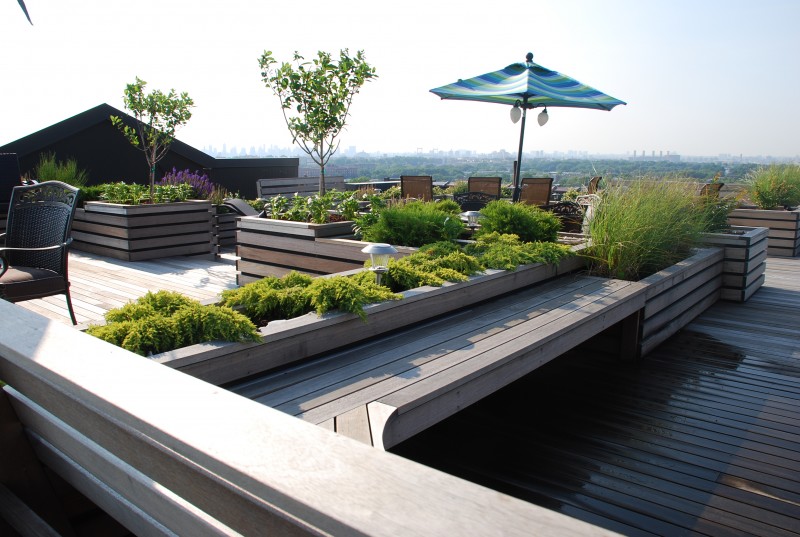 Stylish Rooftop Garden Designs