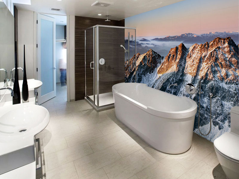Wall Murals For Your Home
