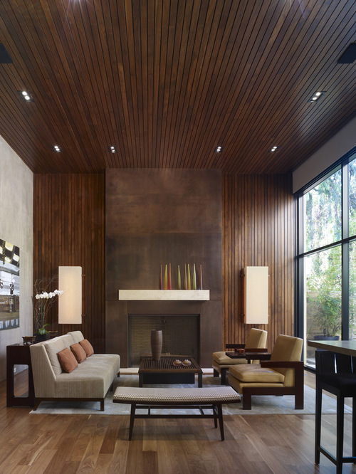 Amazing Modern Living Room
