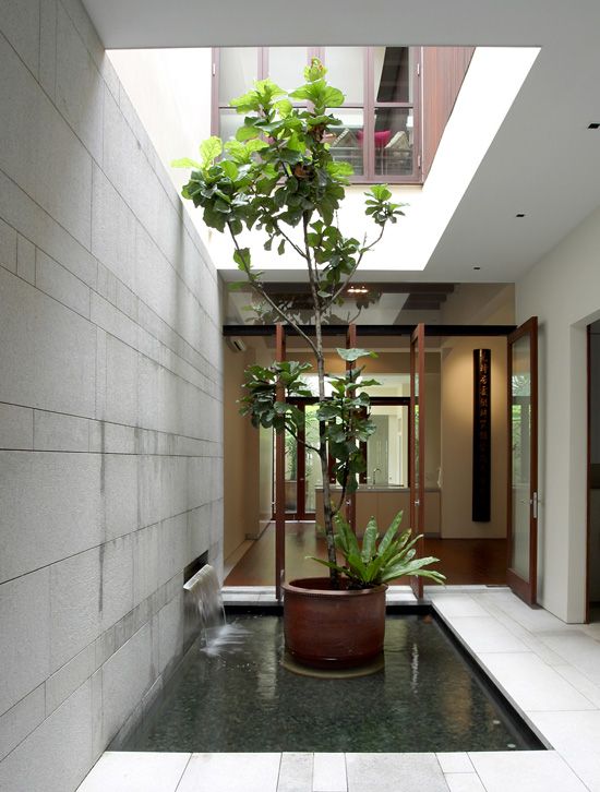 Indoor Courtyard Design Ideas