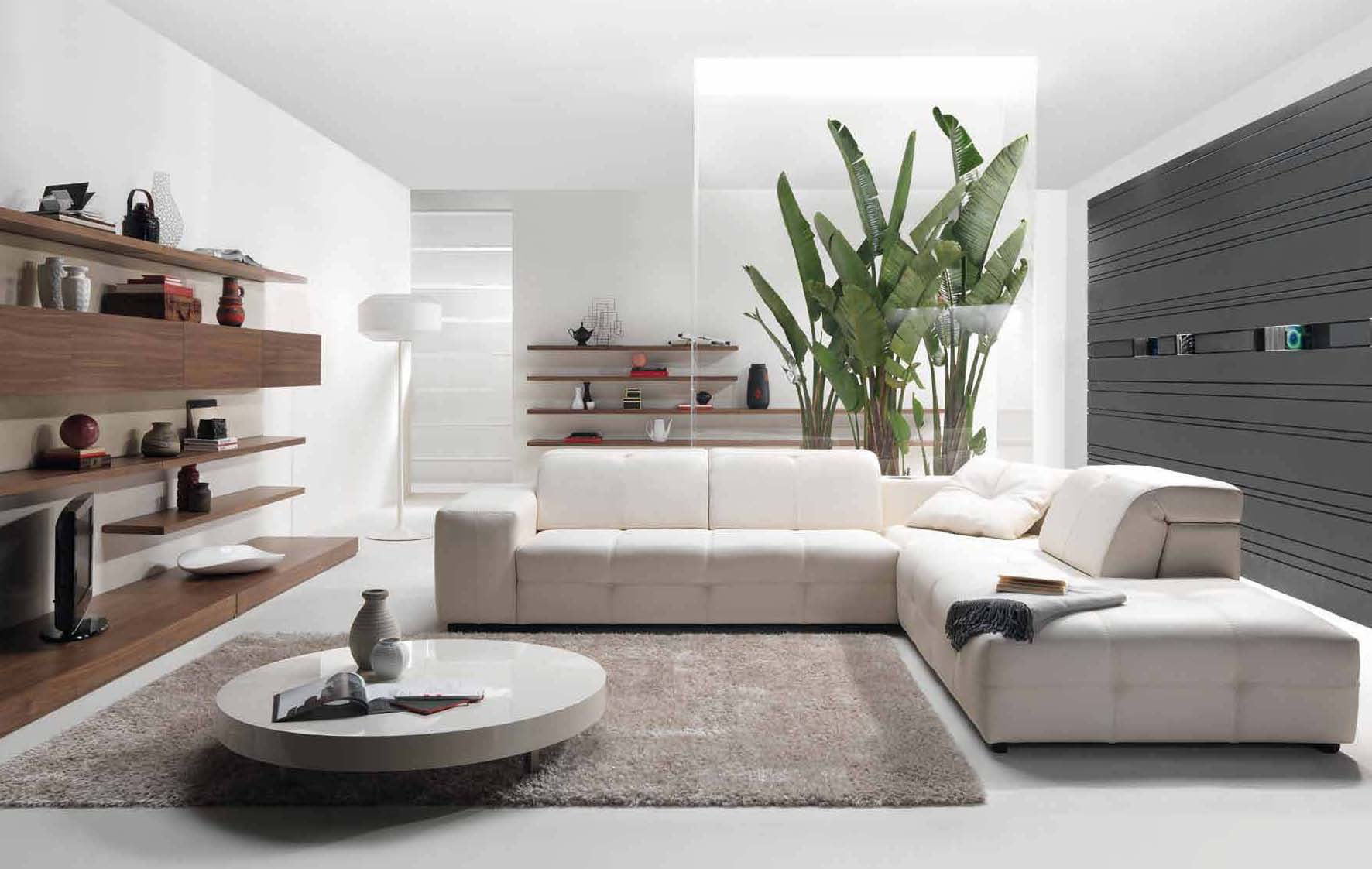 Modern Contemporary Living Rooms