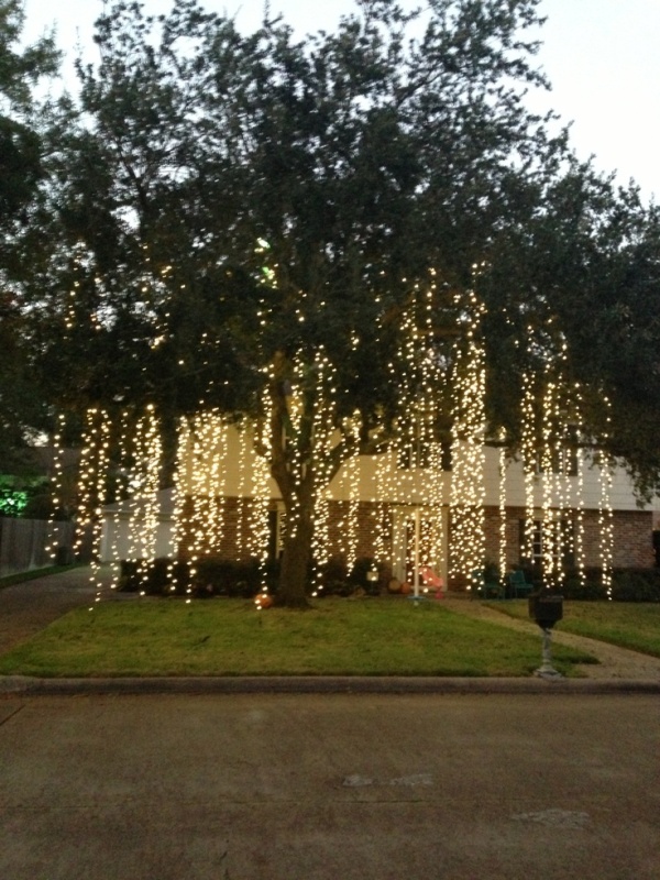 amazing-christmas-lights-outdoor