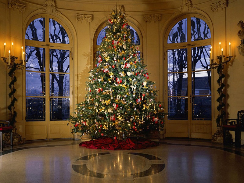 beautiful-christmas-tree-decorations-ideas