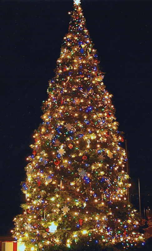 big-christmas-tree