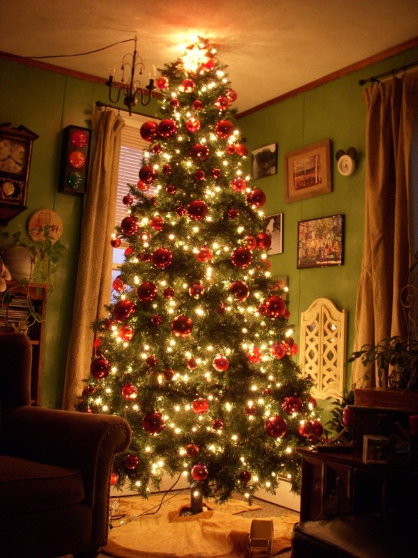 living-room-with-christmas-tree
