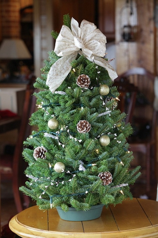 tabletop-christmas-trees-decorating-ideas