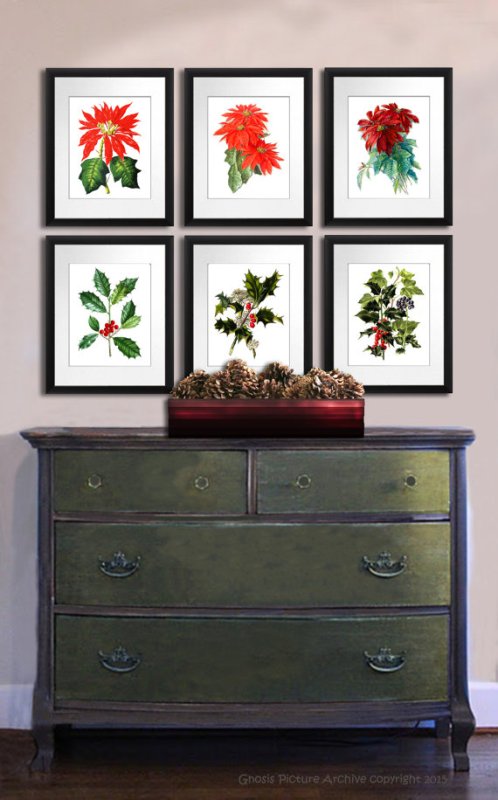 christmas-holly-botanical-print