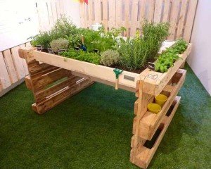 Marvelous Ideas to Exhibit Your Indoor Mini Garden