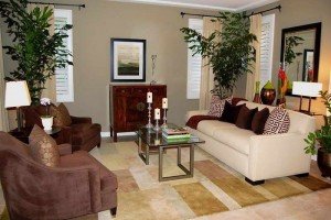 Living Rooms Decoration With Plants