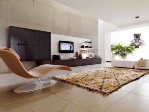Comfortable Diverse Living Room Designs