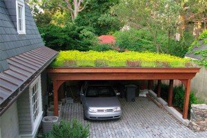 Fresh And Cool Rooftop Garden Designs