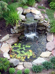 Cool And Trendy Backyard Pond Design Ideas - Interior Vogue